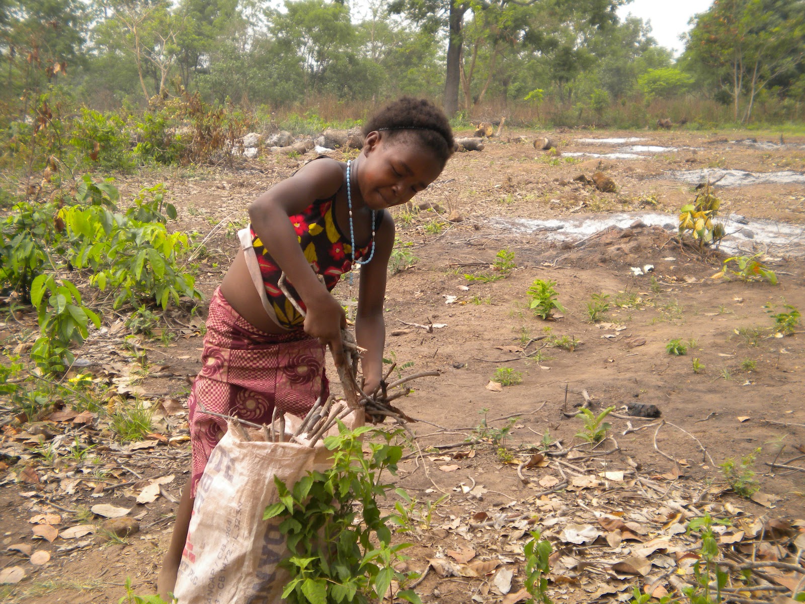 Ecological garden tour in Imiegba farm groves
